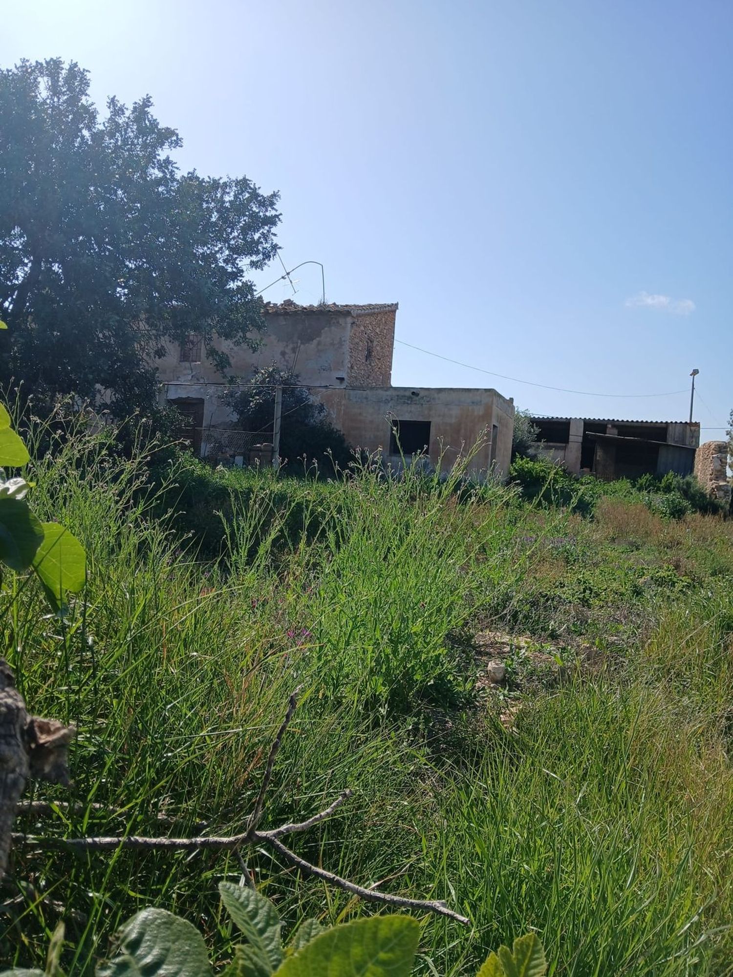 Cortijo en Barriada las Cunas s/n - Foto 15