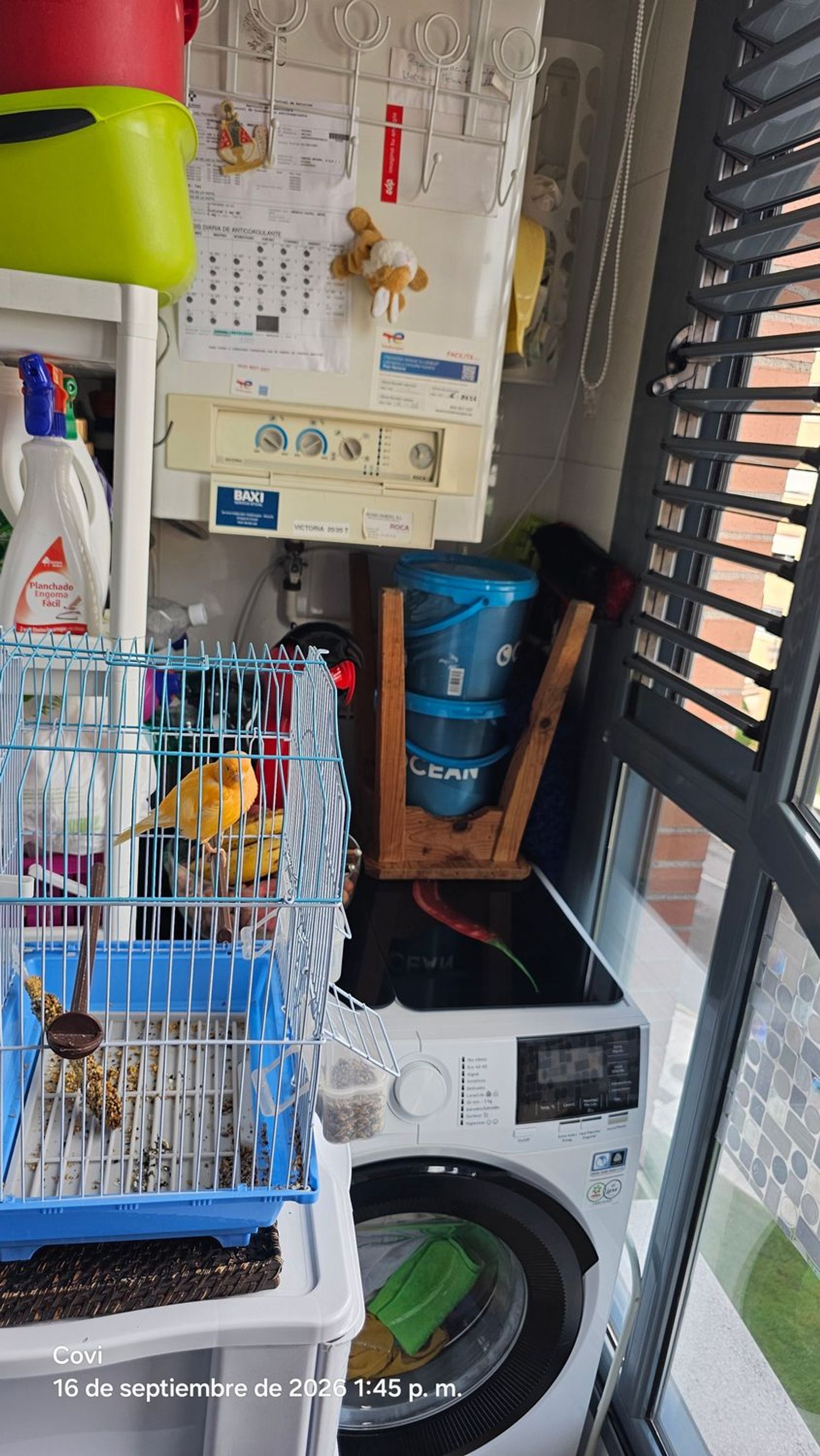 Piso en Calle Daniel Moyano, 4, Corredoria-La Carisa-Prado de La Vega - Foto 5