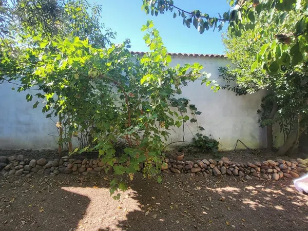 Casa o chalet independiente en Calle Menendez Pelayo, 16 - Foto 27