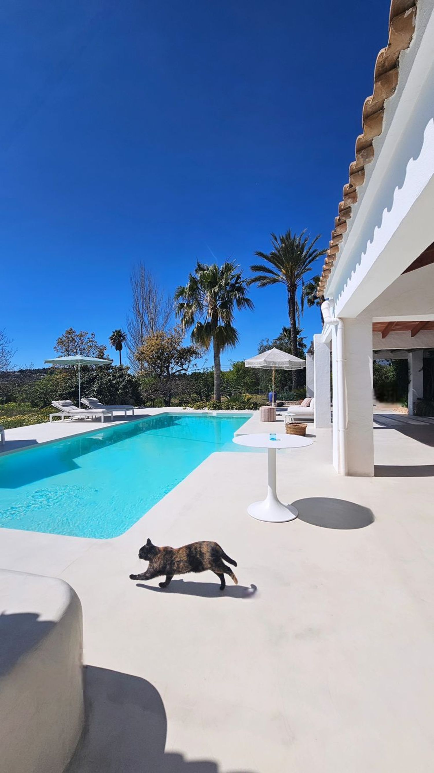 Finca rústica en Altea Pueblo, Altea Pueblo - Foto 6