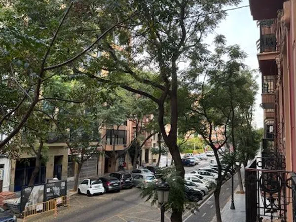 Piso en Calle de Joan Llorenç, 40, La Petxina - Foto 3