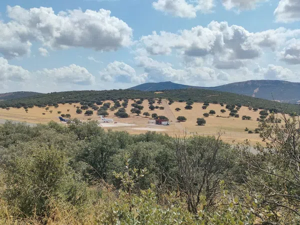 Cortijo en Camino de la Carretera de Almuradiel s/n - Foto 13