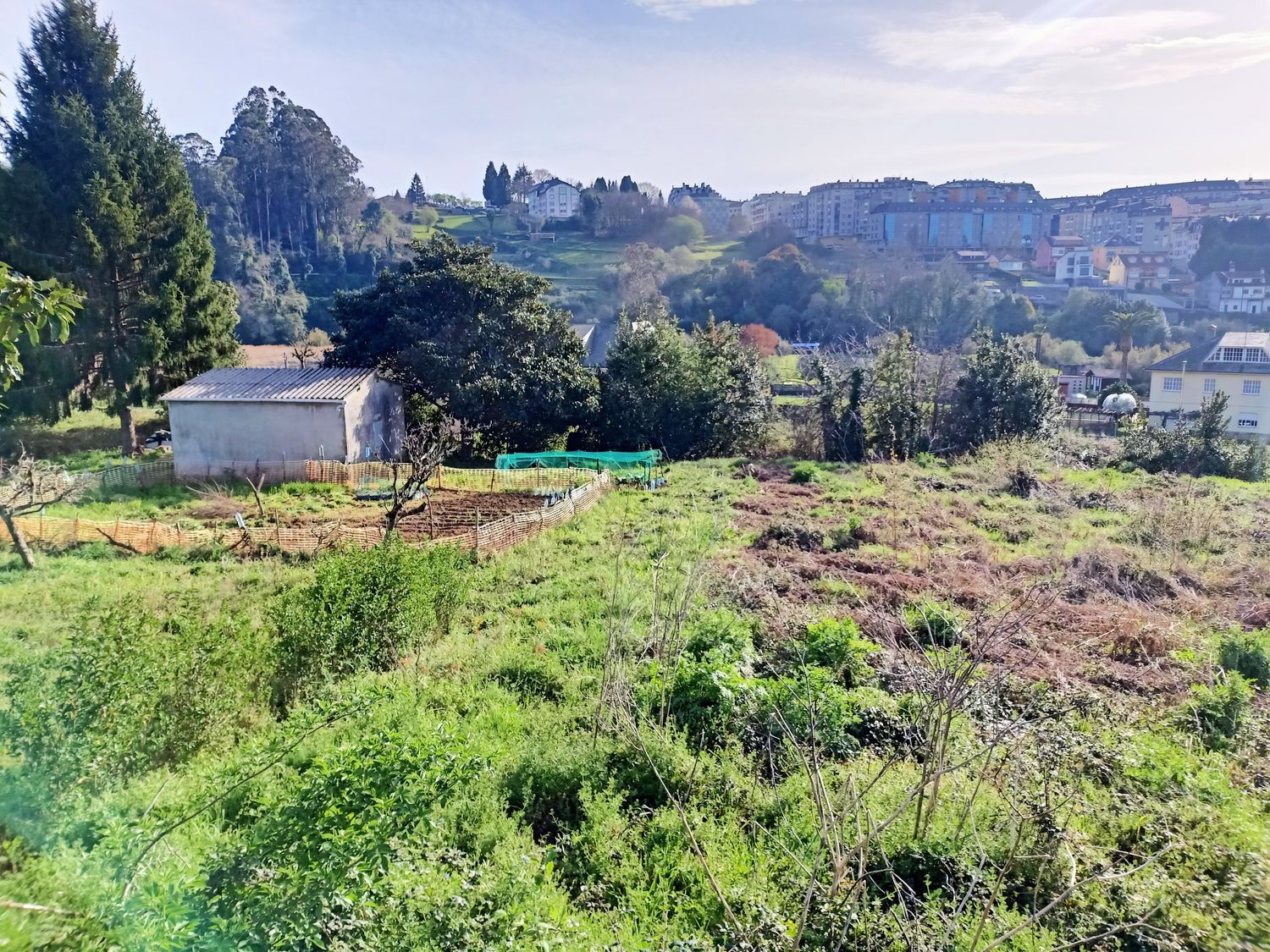 Finca rústica en Lugar Veiga, 5 - Foto 6