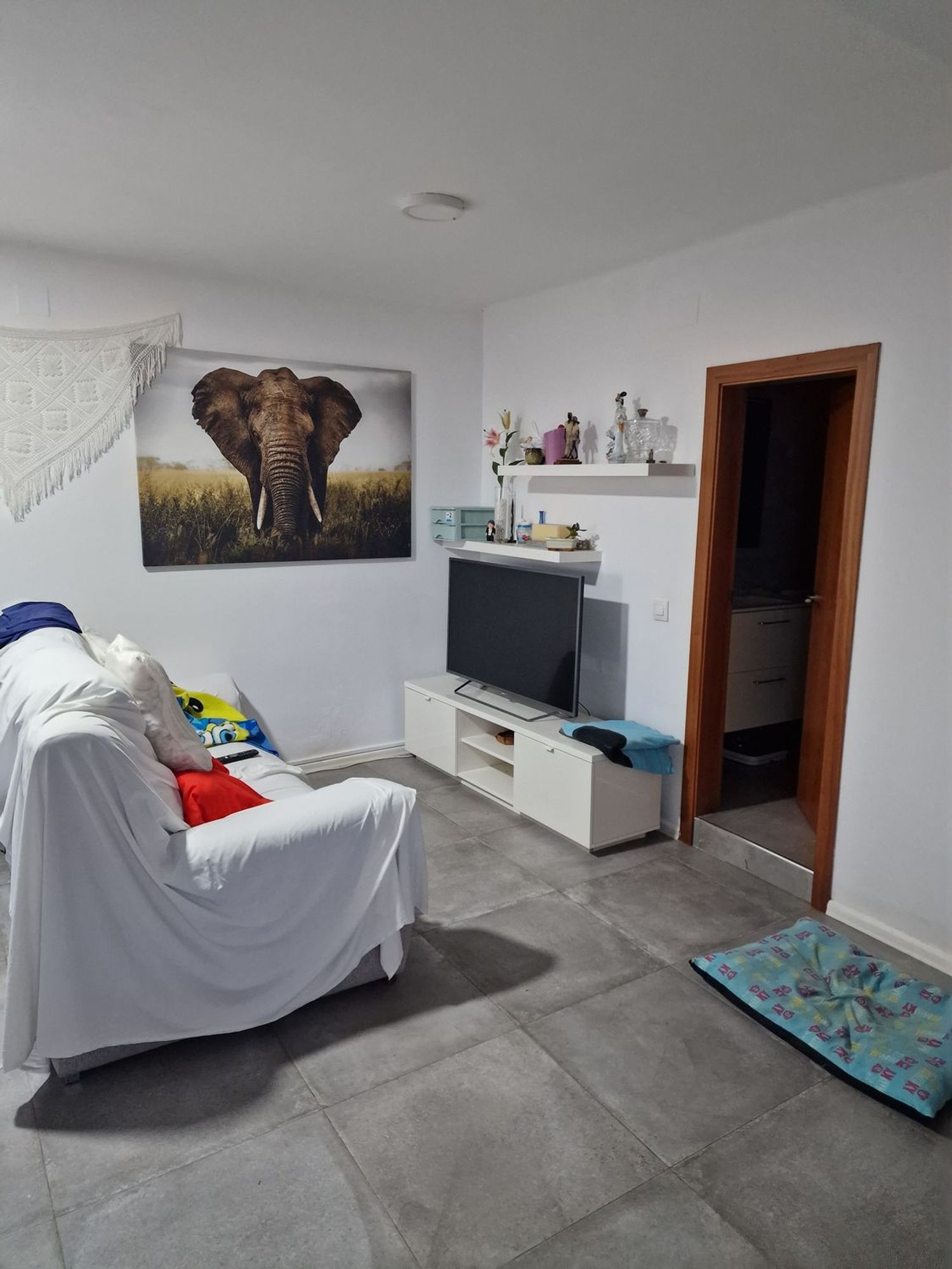 Estudio en Calle pins, 37 - Foto 6