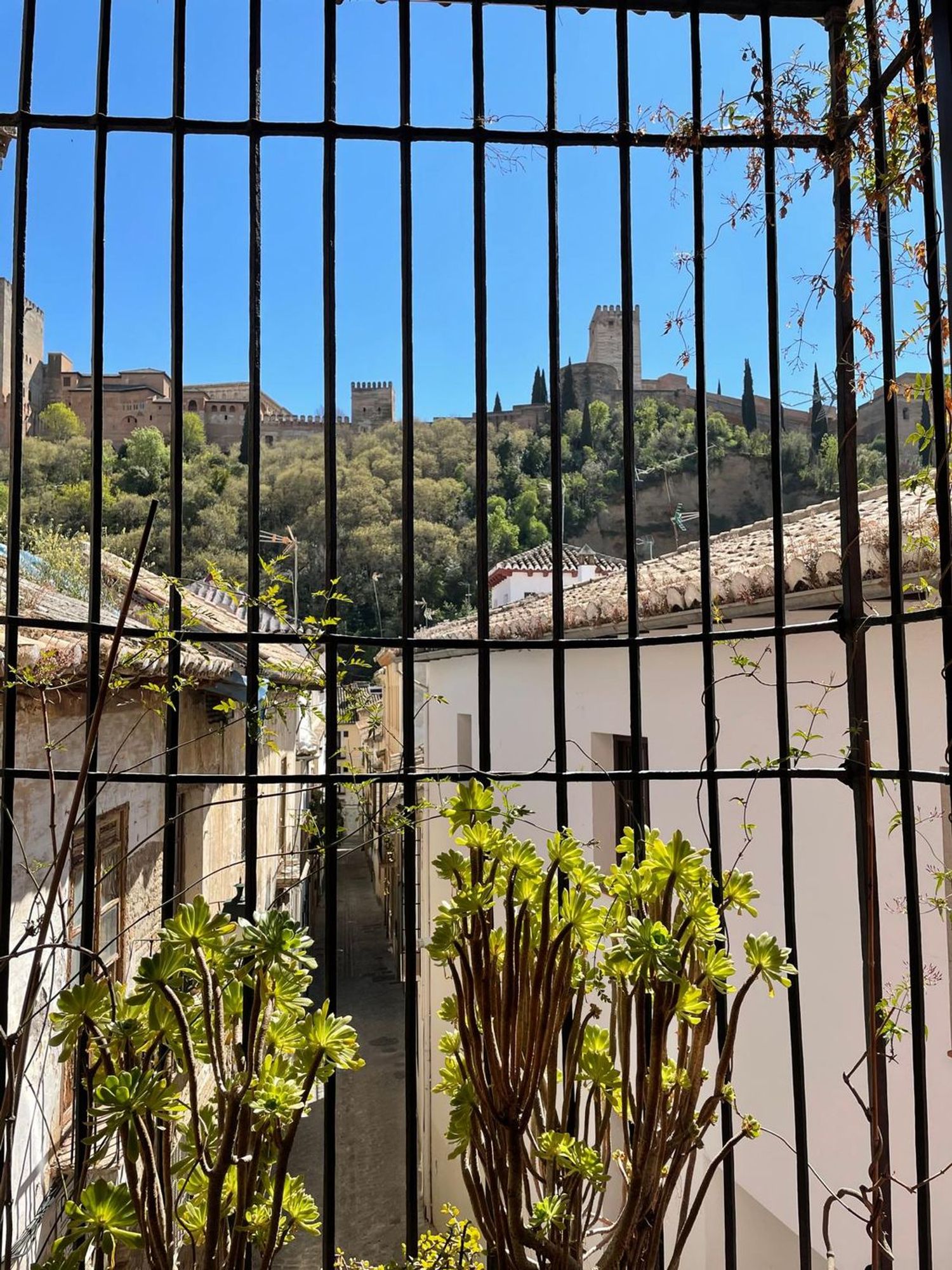 Dúplex en calle Horno del Vidrio, 16 - Foto 30