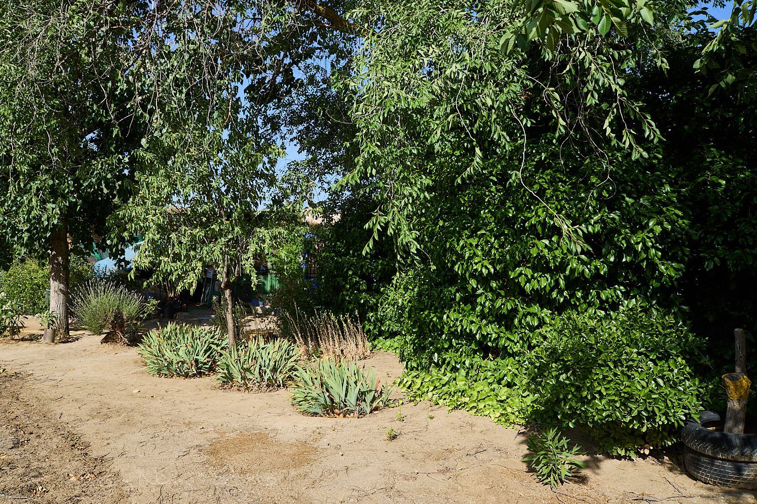 Finca rústica en Camino de la Mata s/n - Foto 28
