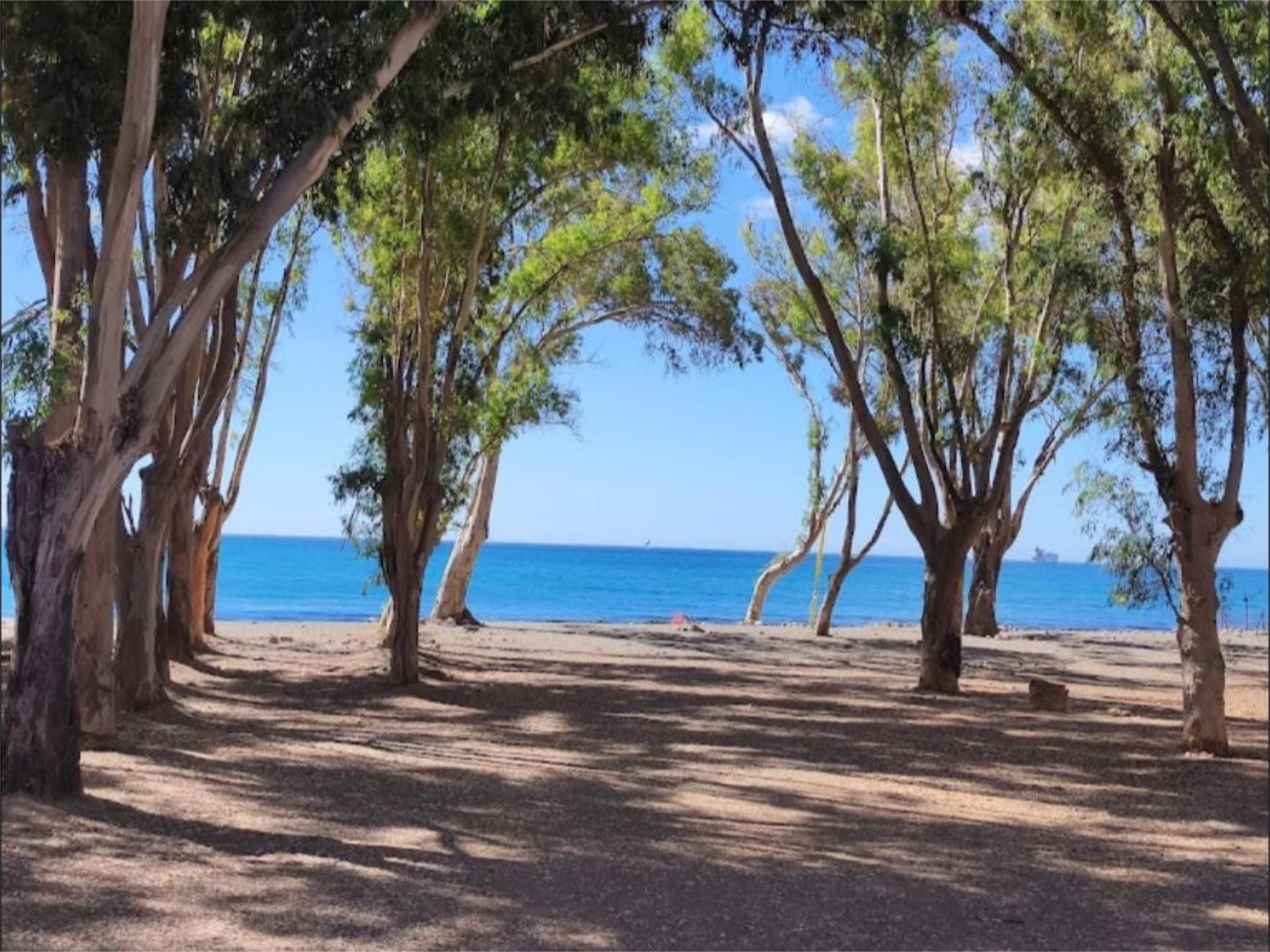 Piso en  Calle Bolivia 40