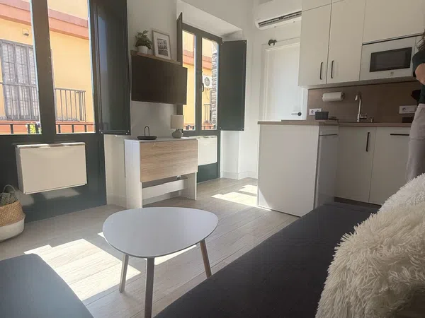 Estudio en Puerta del Osario, 1, Puerta Carmona-Puerta Osario-Amador de los Ríos - Foto 3