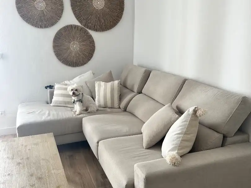 Piso en  Avinguda d'Ignasi Wallis 6 - Foto 7