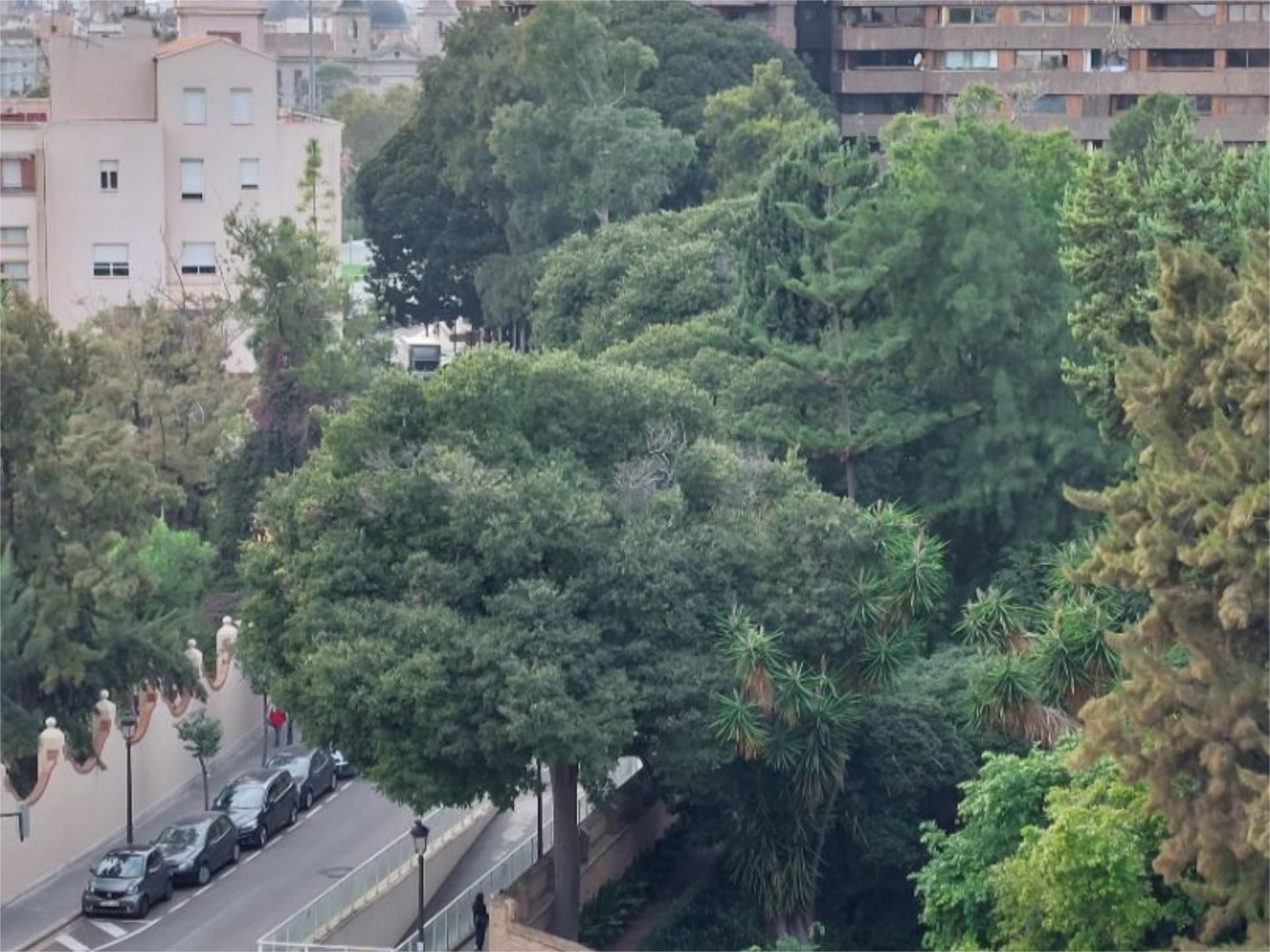 Piso en  Carrer de les Arts Gràfiques 5