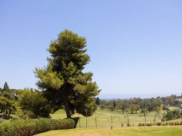 Piso en Avenida Valle del Golf, 132, Aloha - Foto 12