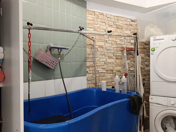 Local en Peluquería en Avenida Alcalde Gregorio Espino, 48, Casablanca - Calvario - Foto 9