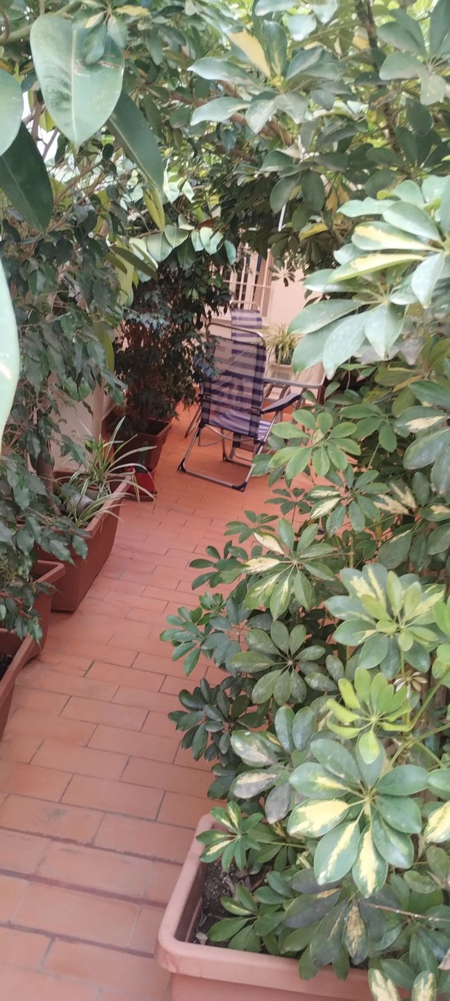 Estudio en Calle Duque de Rivas, 4 - Foto 29