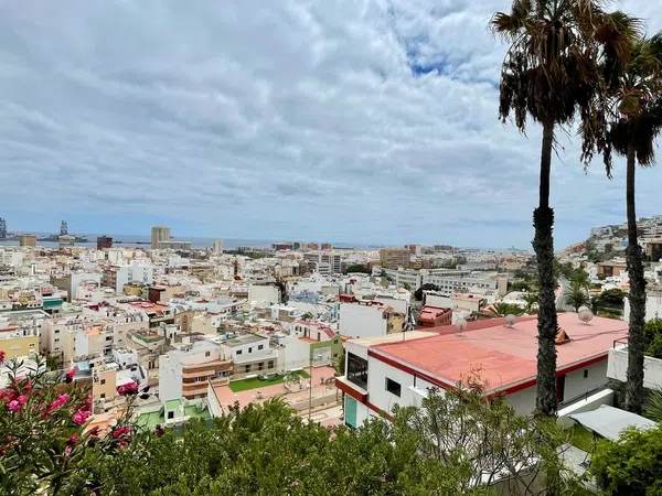 Estudio en Calle Capitán Eliseo López Orduña, 25 - Foto 5
