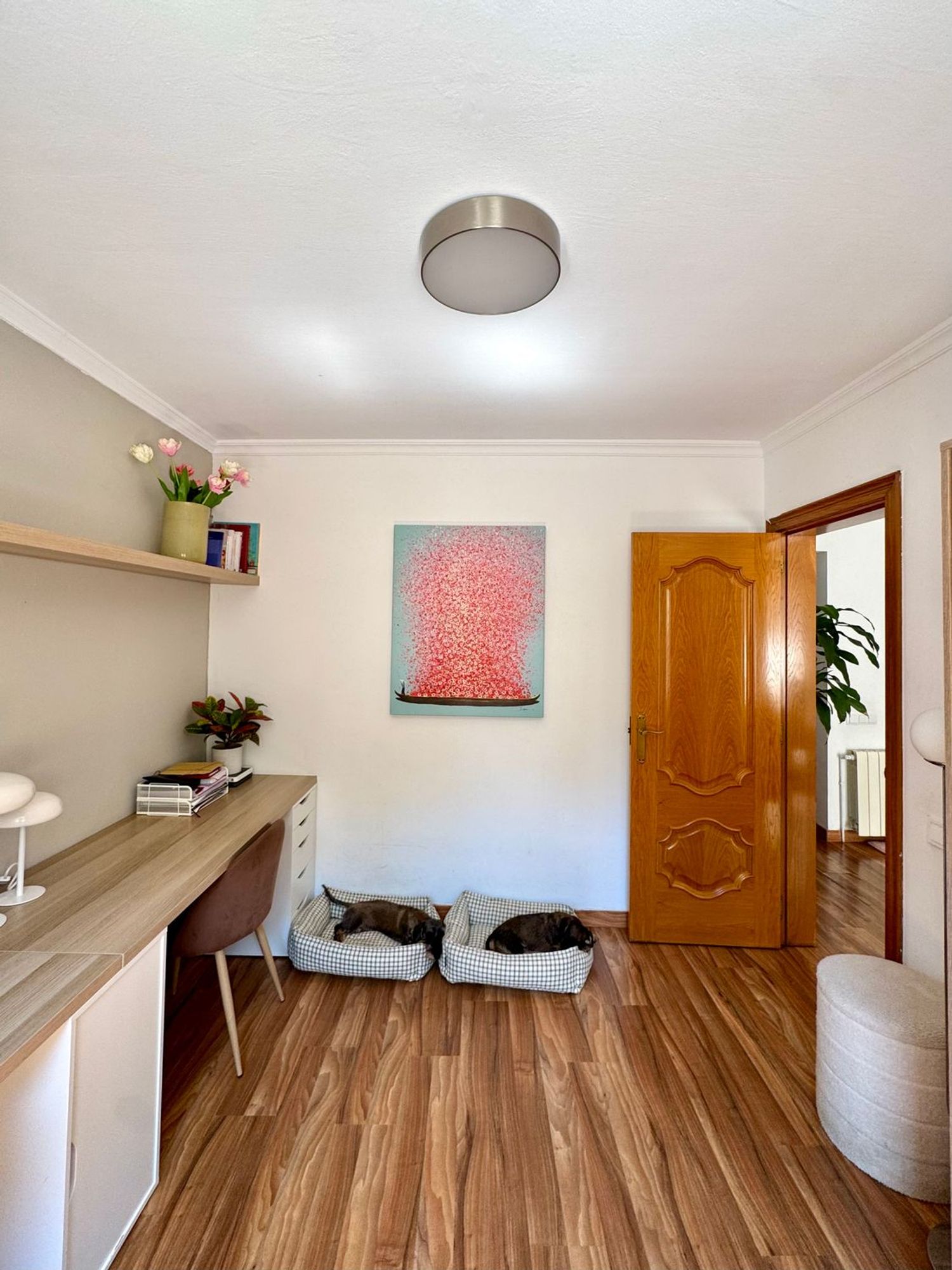 Piso en Calle de Numància, 65, Caneletes-Turonet, Caneletes-Turonet - Foto 25