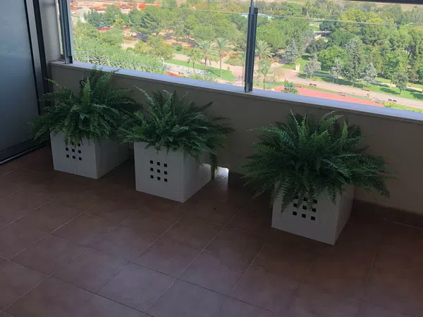 Piso en calle Sèquia de Favara, 1 b - Foto 4