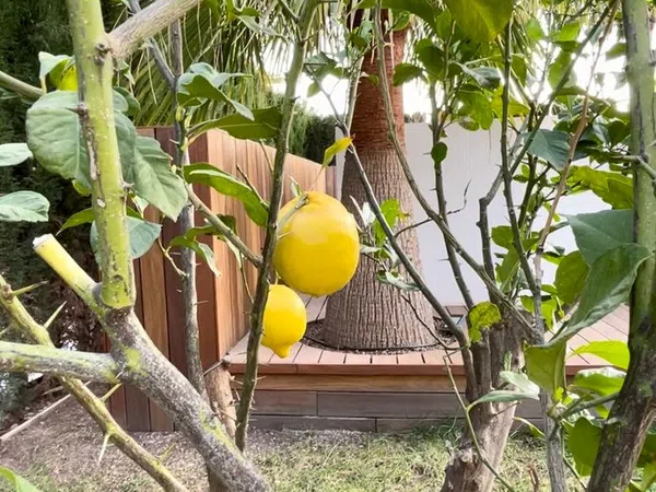 Chalet pareado en calle Lisboa, 5 - Foto 8