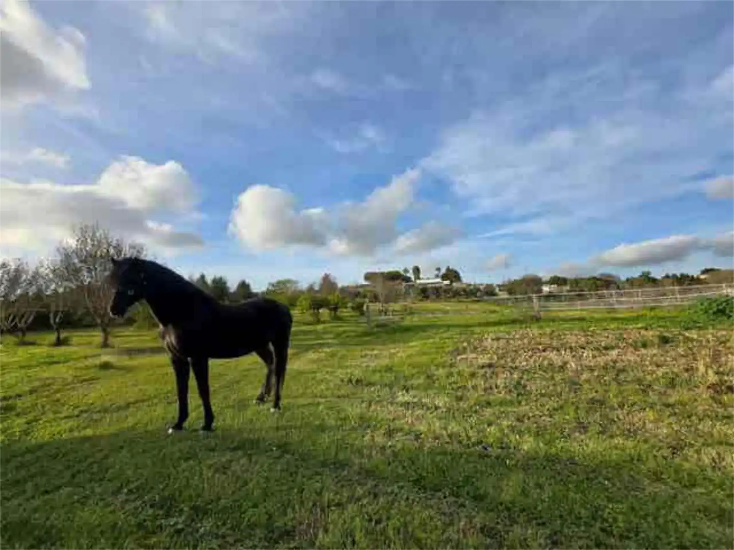 Casa adosada en Cortijo pago Víctoria - Foto 3