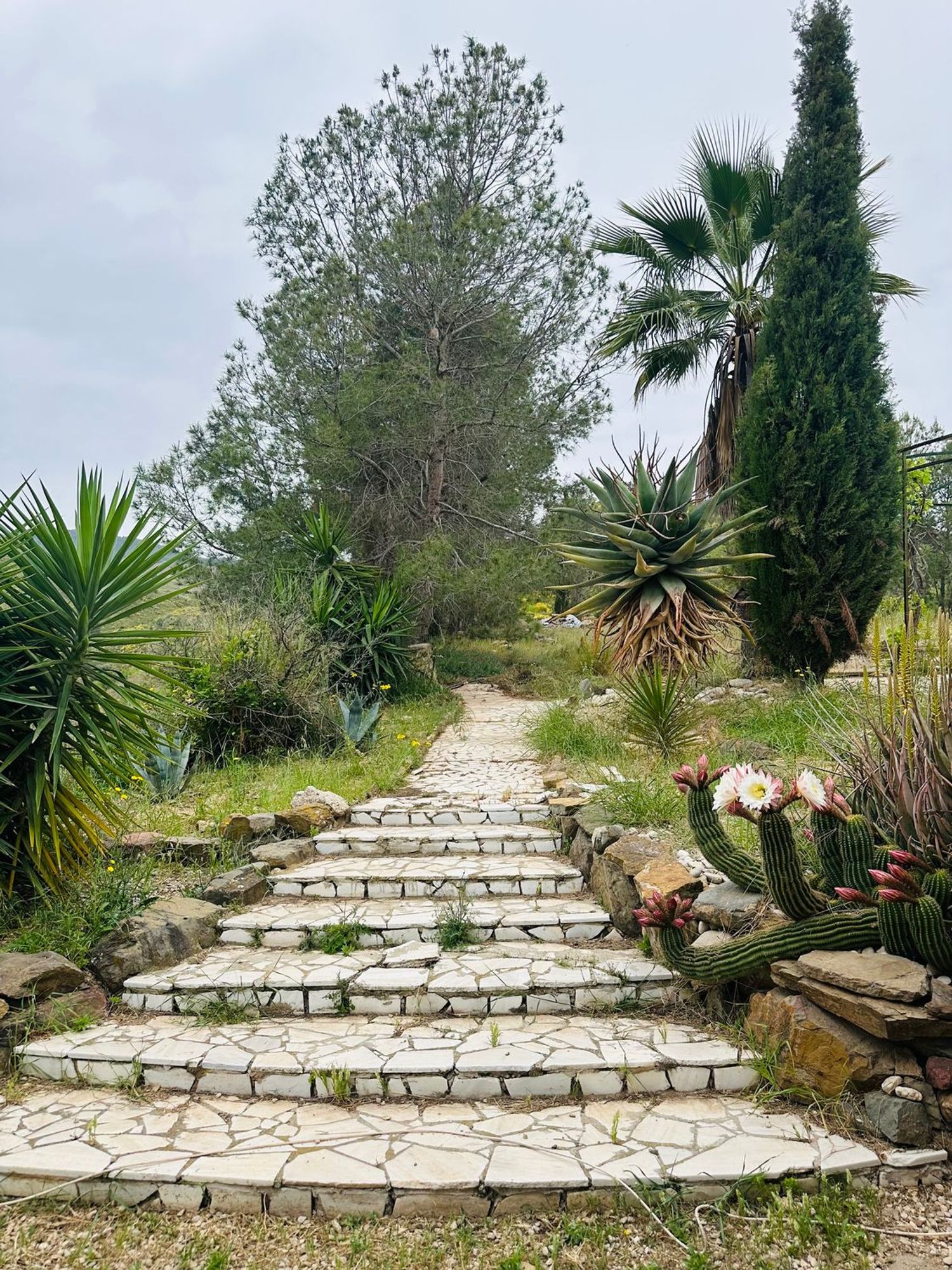 Finca rústica en Zarcilla de Ramos-Doña Inés - Foto 18