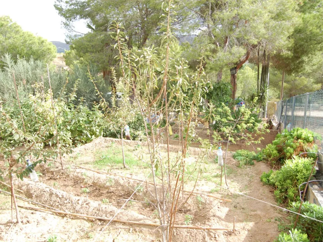 Chalet en  Urbanización la Pinada 37 - Foto 42