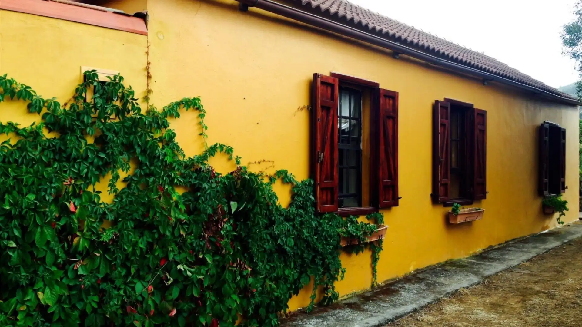 Chalet en  Lugar Pinar de Ojeda 24 - Foto 24