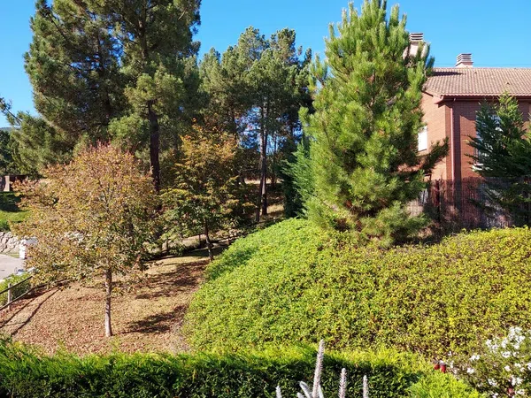 Chalet adosado en Calle Solcampo, 1 - Foto 2