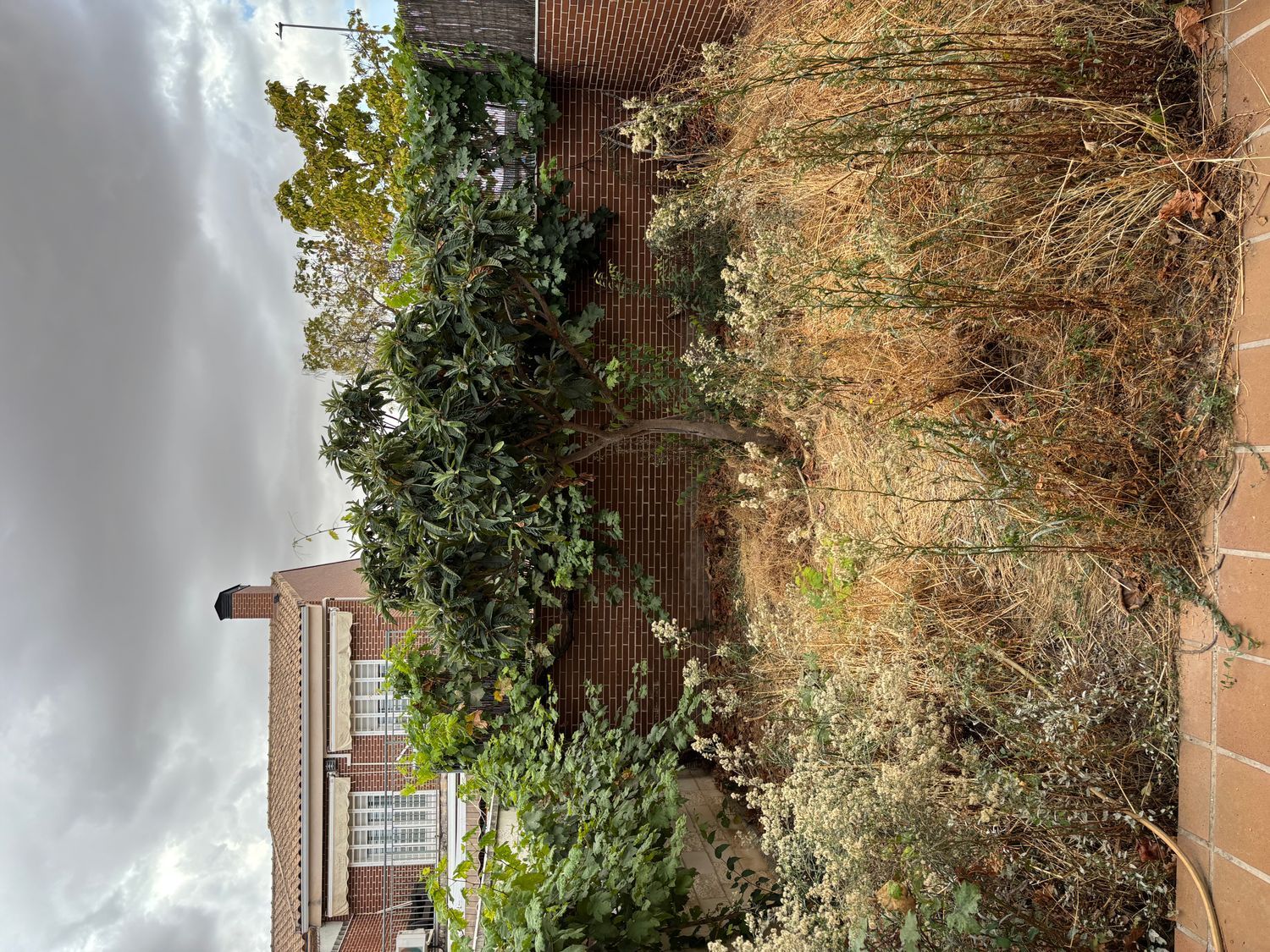 Chalet adosado en calle Pompeya, 2 - Foto 23