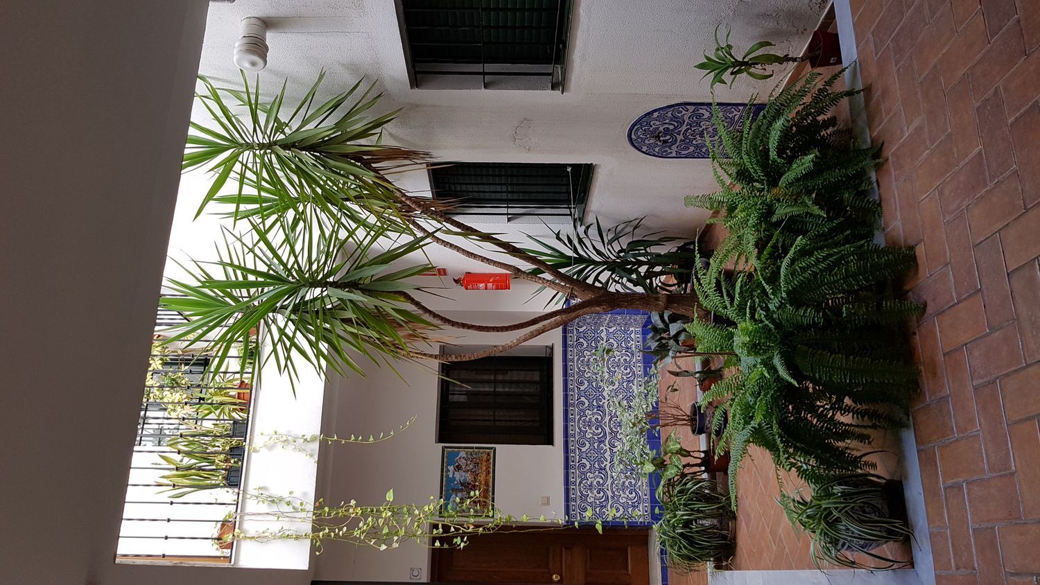 Piso en calle Pureza, 92 - Foto 3