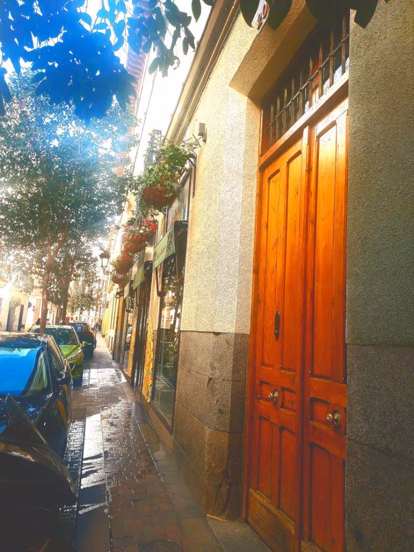 Piso en  Calle de San Pedro 20 - Foto 16