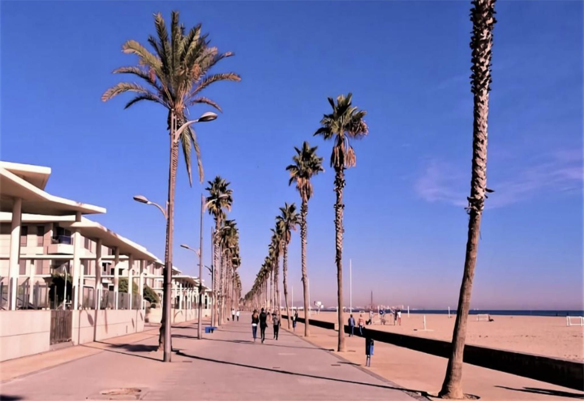 Piso en  Avinguda de la Malva-Rosa 66 - Foto 9