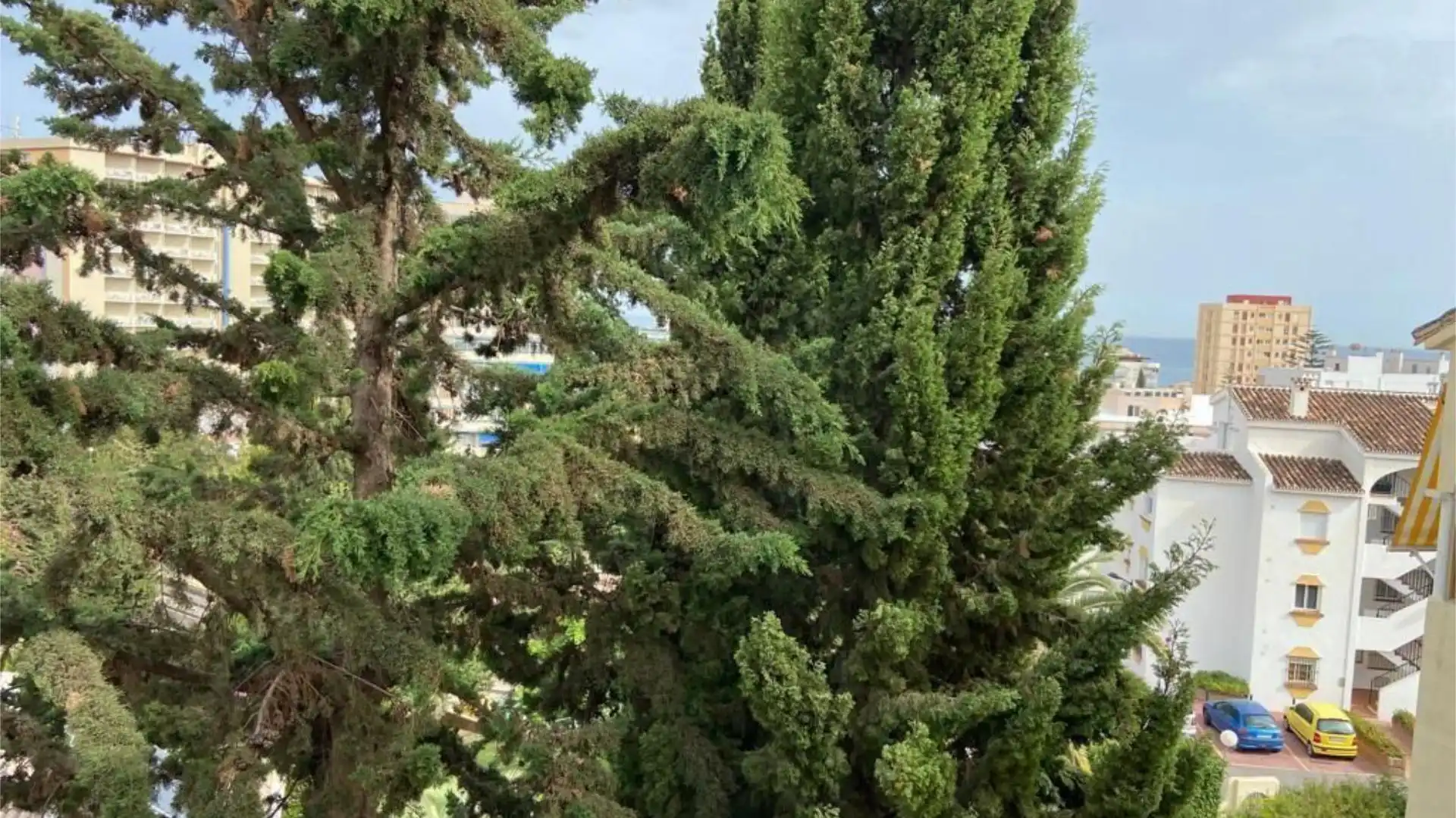 Piso en  Calle los Helechos 6 - Foto 15