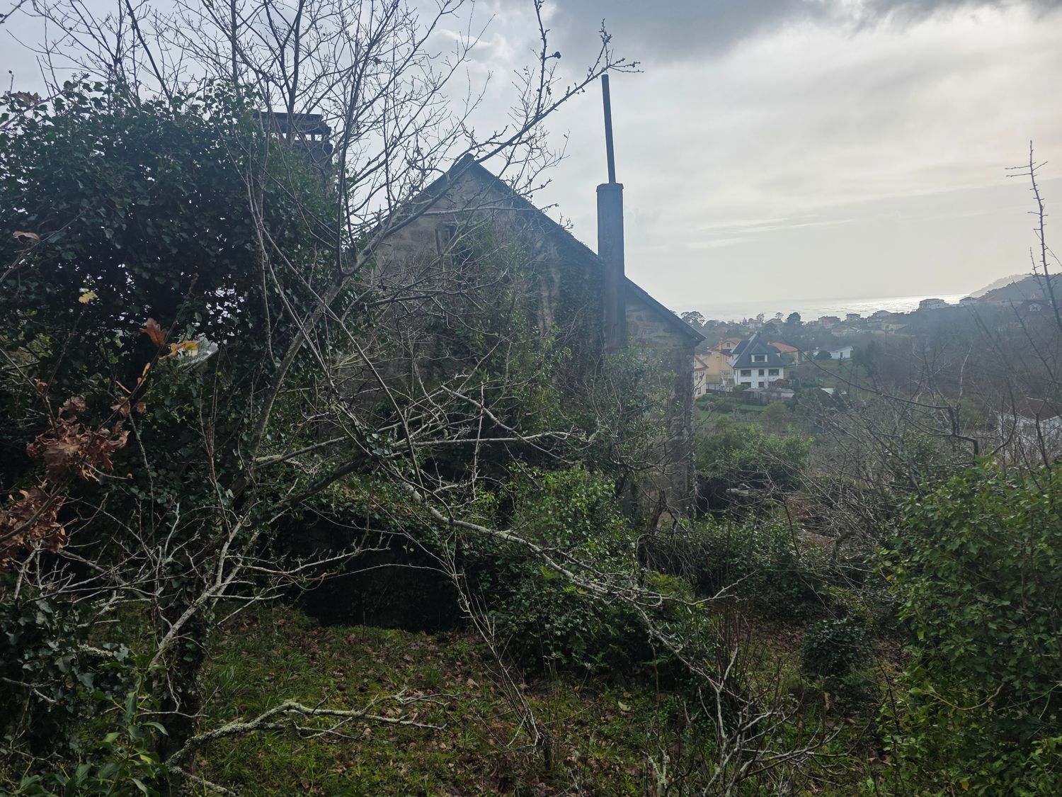 Caserón en pazo, 3 - Foto 4