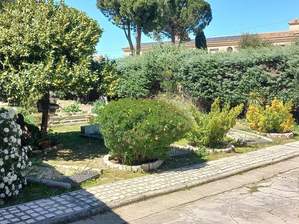 Casa o chalet independiente en Calle de los Escollos, 1, Altos de Jarama, Altos de Jarama - Foto 7