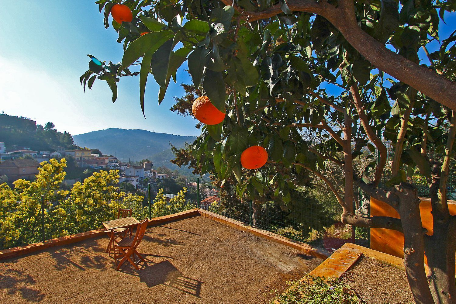 Casa o chalet independiente en Calle de Sant Ignasi de Loiola, 9, Les Planes, Les Planes - Foto 8