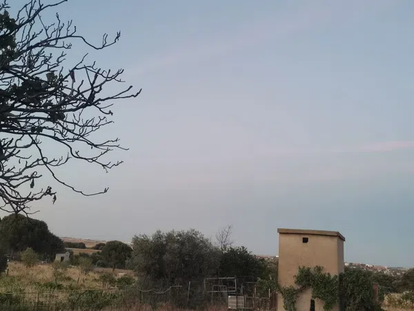 Casa o chalet independiente en Camino de casa Roque, 2, La Dehesa - El Pinar, La Dehesa - El Pinar - Foto 15
