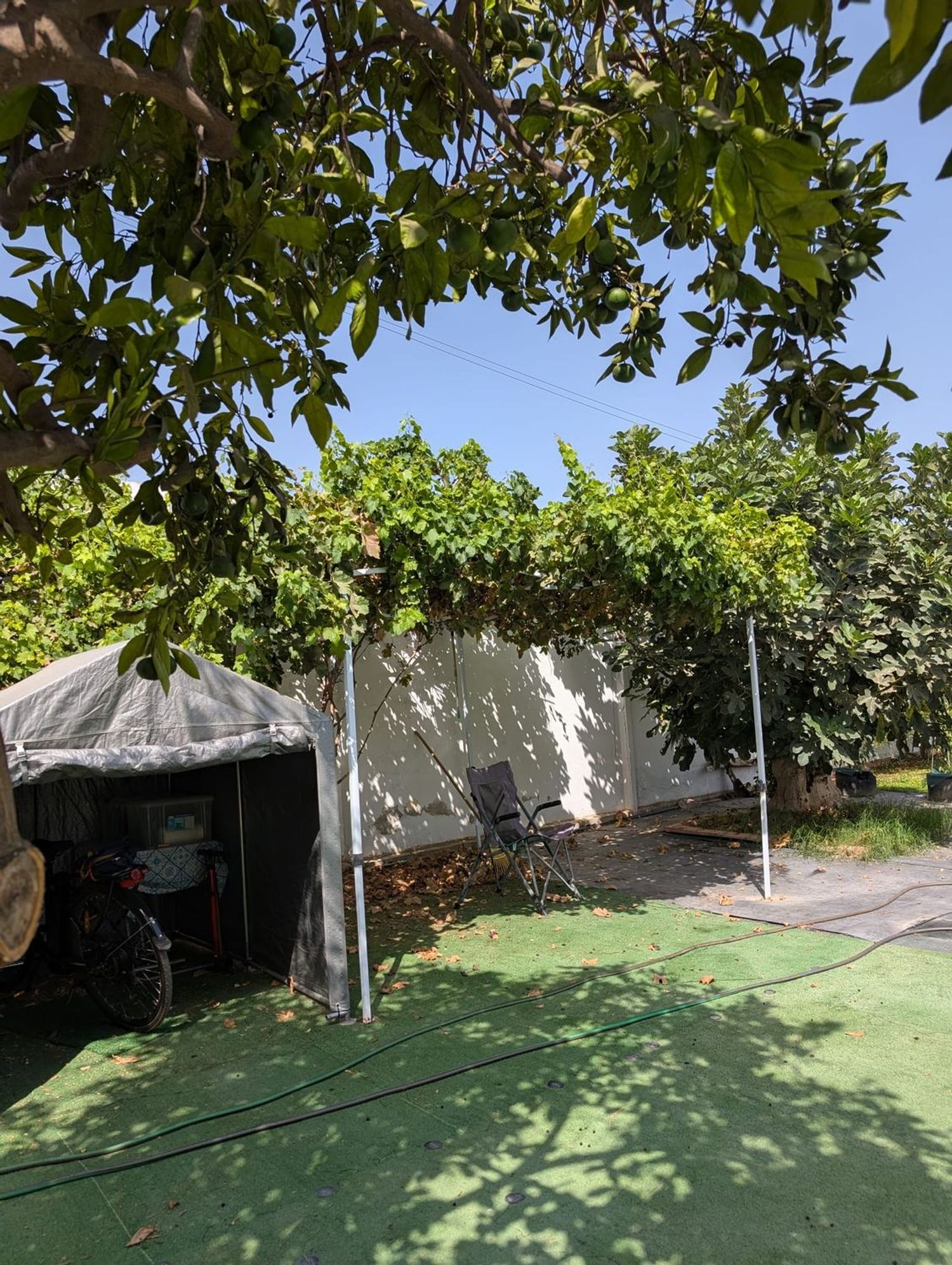 Casa o chalet independiente en Urb. Las Luisas, 30, La Hacienda - Nueva Andalucía, La Hacienda - Nueva Andalucía - Foto 4