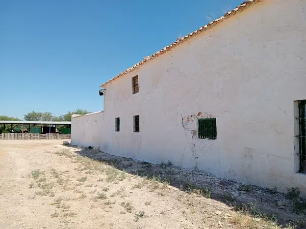 Finca rústica en Paraje Santa Cruz s/n - Foto 16