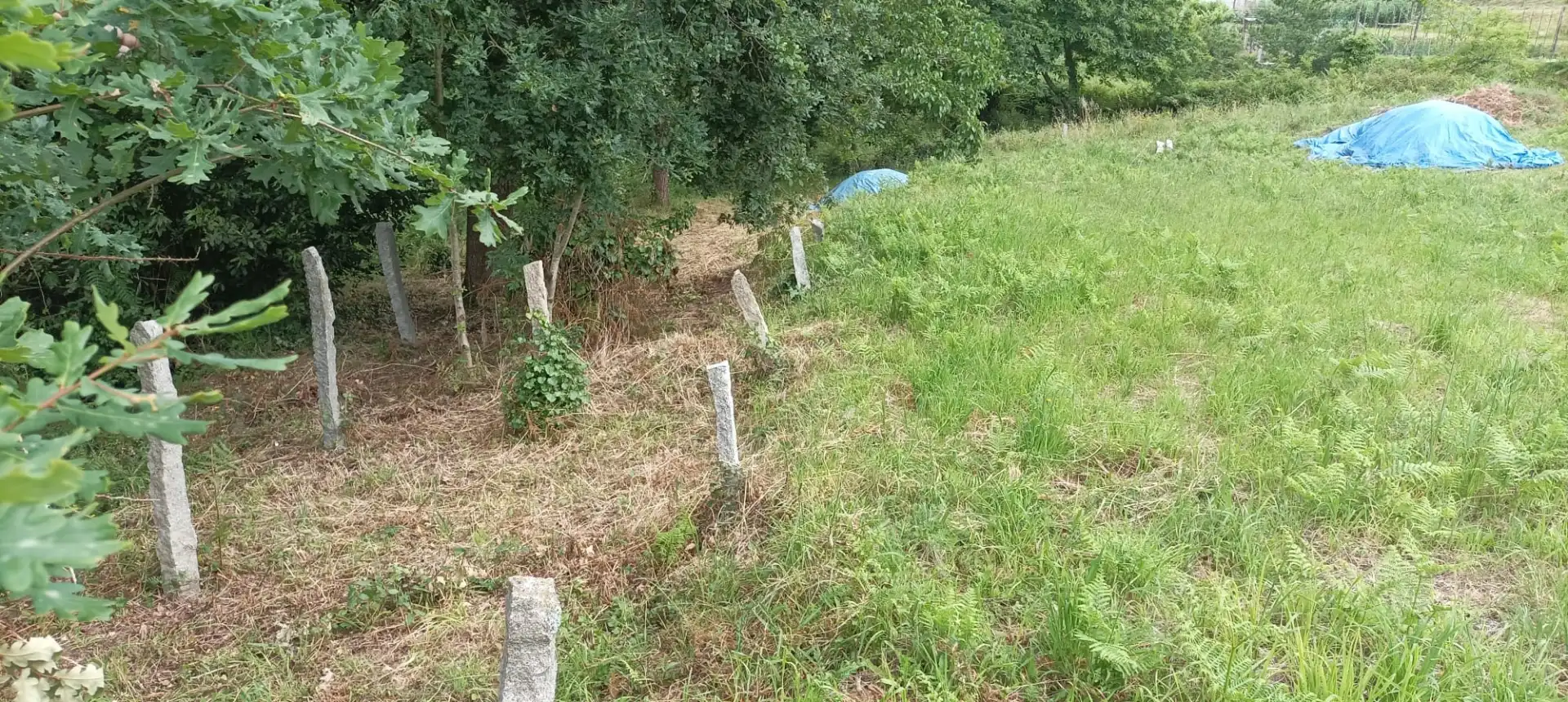 Terreno Residencial en  PO-332 26 - Foto 4