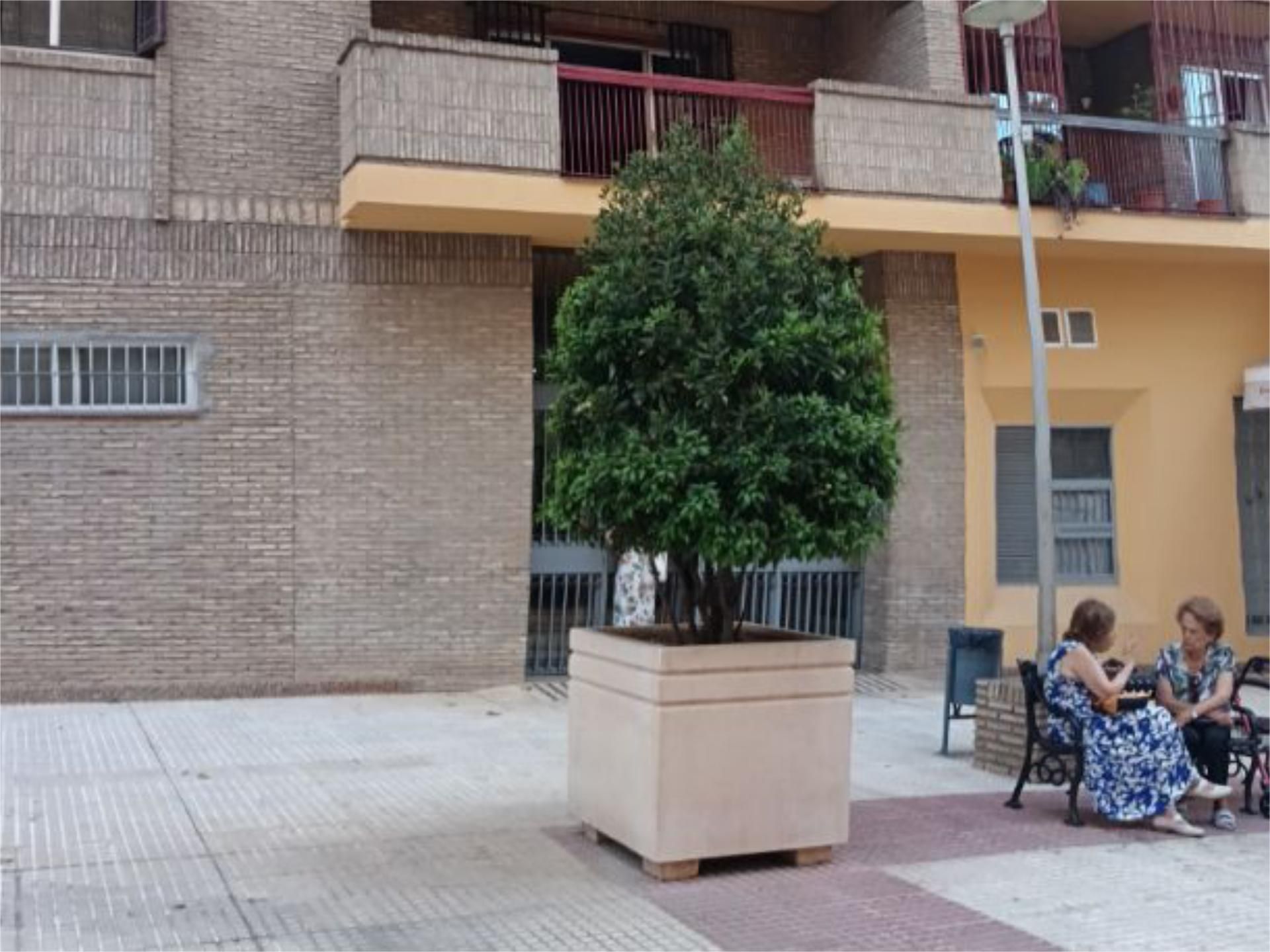 Piso en  Ronda de Capuchinos 2 - Foto 6