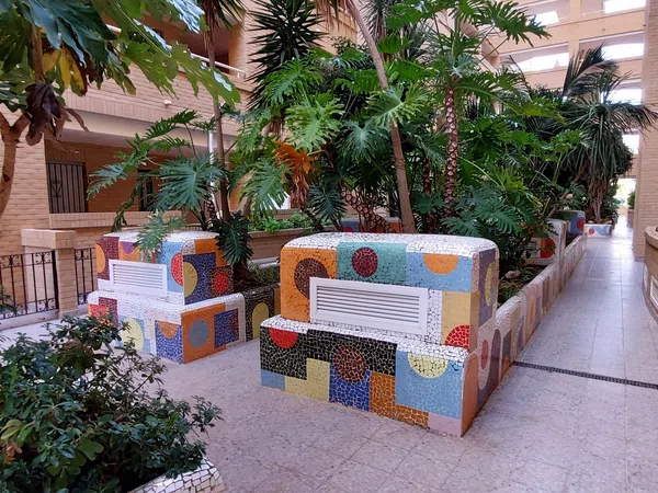 Piso en Avenida Central, 14, Marina Trebol - Neptuno - Foto 13