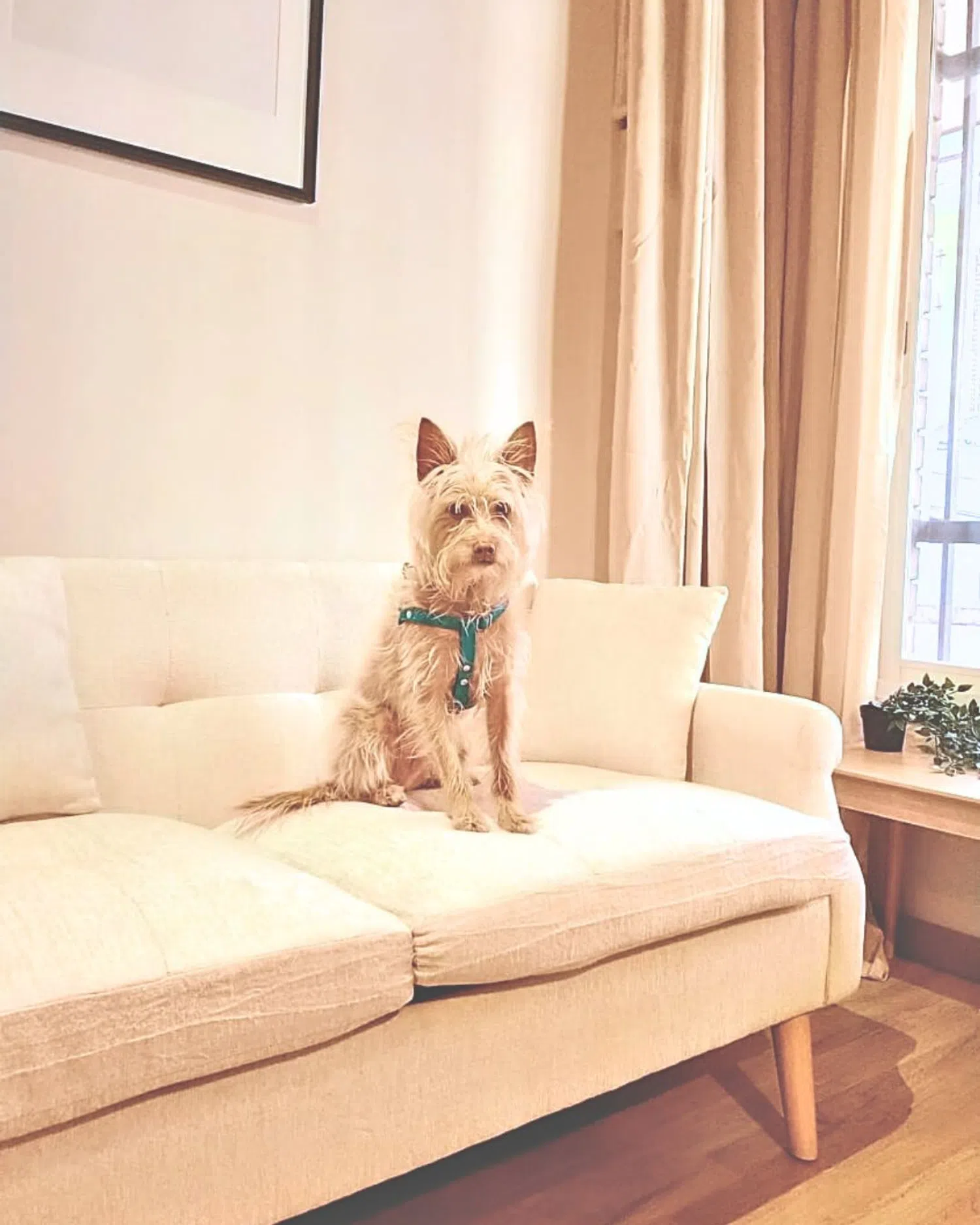 Piso en calle de la Conca de Tremp, 137 - Foto 13