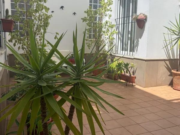Piso en Calle Felipe Hidalgo, 69, Ayamonte Pueblo, Ayamonte Pueblo - Foto 16