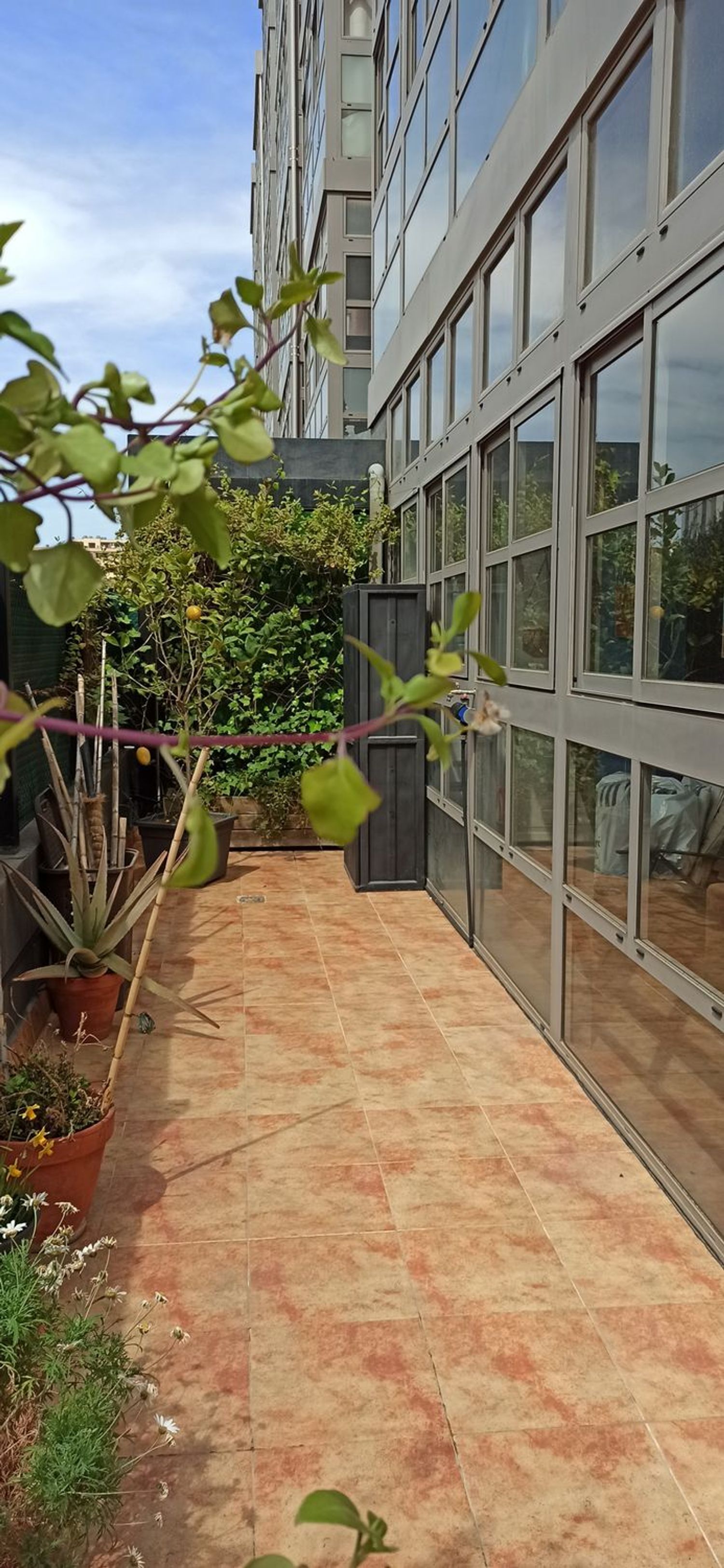 Piso en Volver a Empezar, 12 - Foto 4