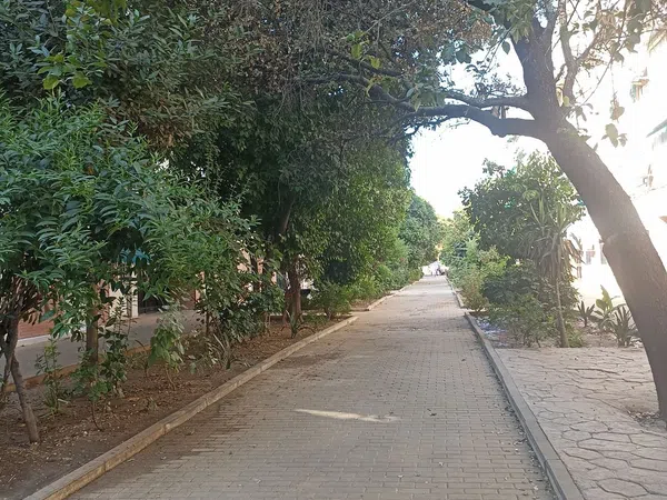 Piso en Pasaje Bujalance, 12, Sector sur - Santa Cruz - Foto 25