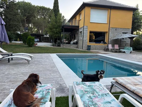 Casa o chalet independiente en Casa Amarilla, Casa Amarilla - Foto 2