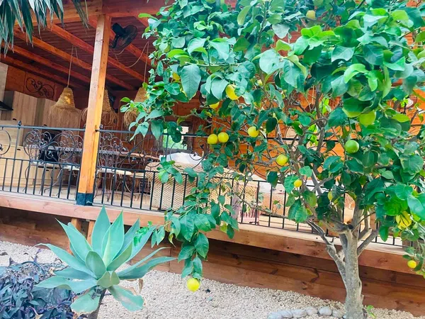 Casa o chalet independiente en Calle ciona, 4, L'Albir, L'Albir - Foto 29