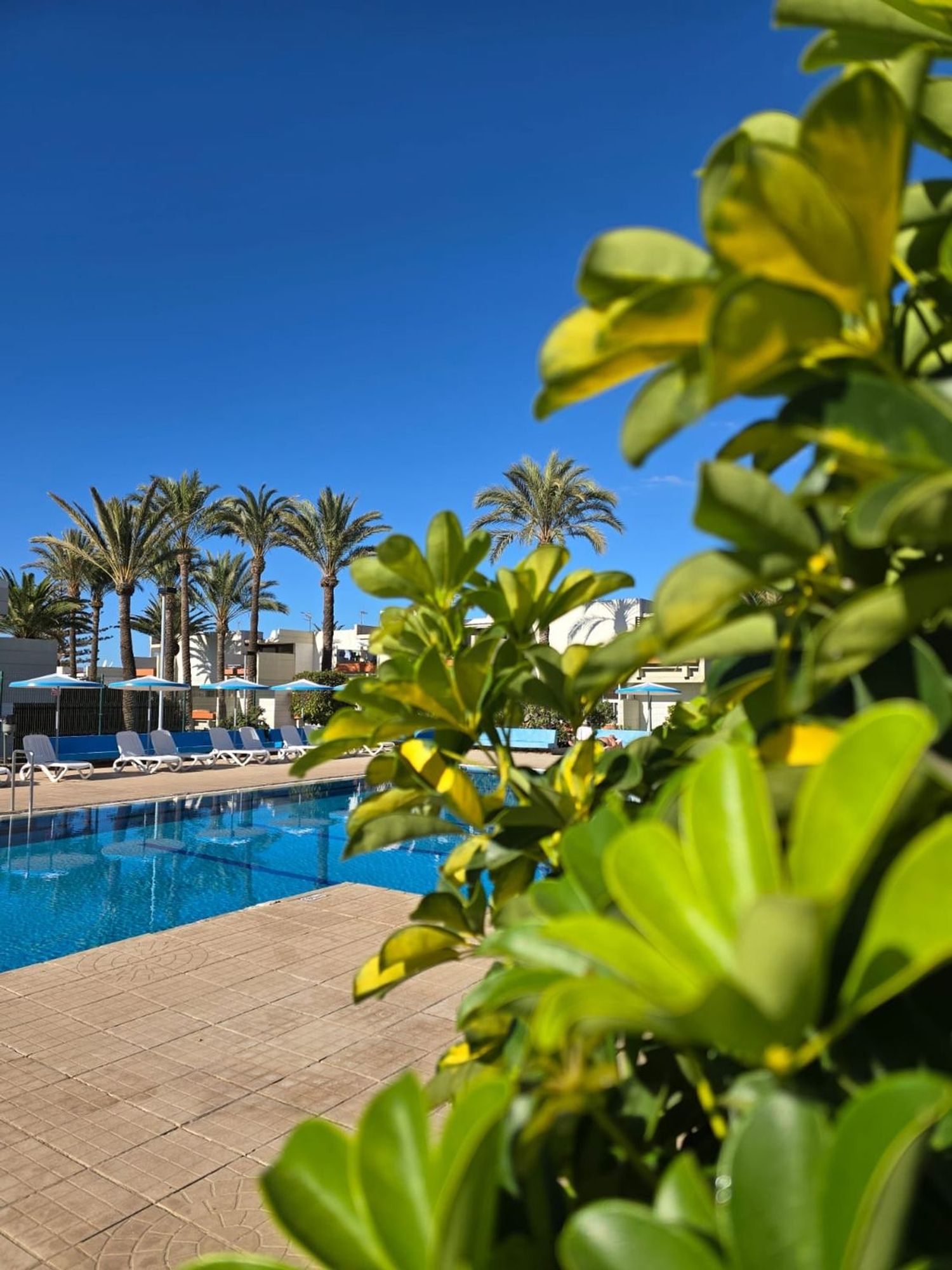 Ático en calle Ten-bel, 1 - Foto 25