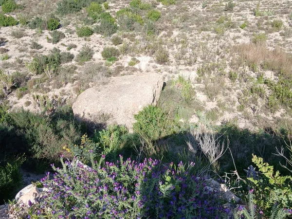 Cortijo en Barriada las Cunas s/n - Foto 5