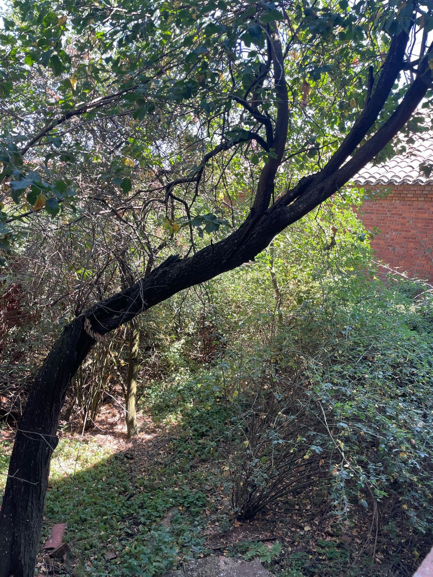 Casa de pueblo en Camino Villadangos, 24 - Foto 39