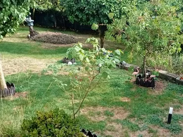 Planta baja en  Camiño Canteira 14 - Foto 3